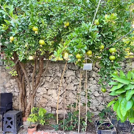 In A Historical House In Carsi Apartmán Alaçatı