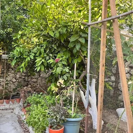 In A Historical House In Carsi 알라카티